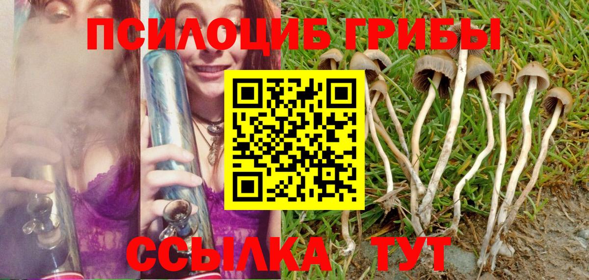 Галлюциногенные грибы GOLDEN TEACHER Новошахтинск